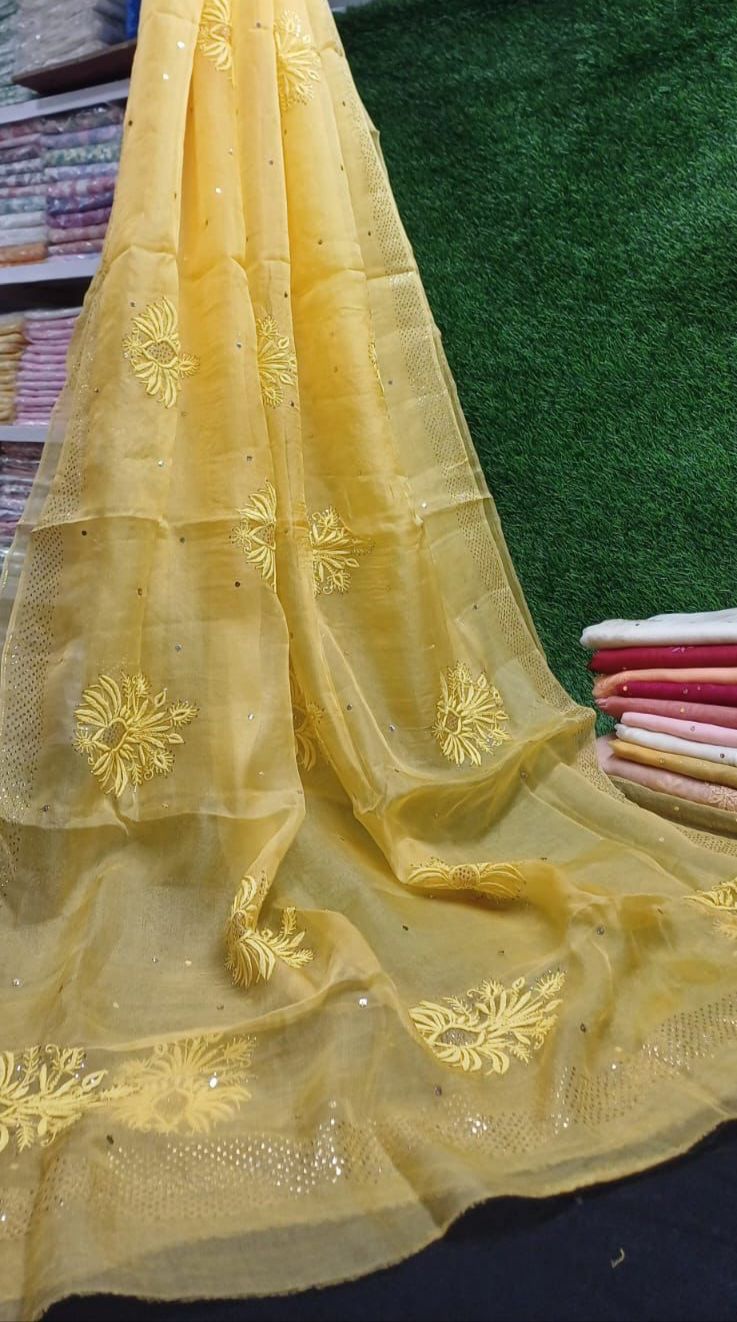Bharat Hand Embroidered Soft Pure  Organza Silk  Saree